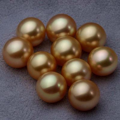 China Saltwater Pearl 12-13mm Big South Sea Pearl Gold Round Beads for sale