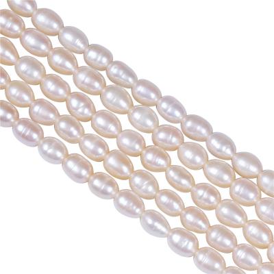 China Pink Loose Freshwater Pearl Strand Freshwater Pearl 4-5mm Freshwater Pearl Tiny Pearl Beads for sale