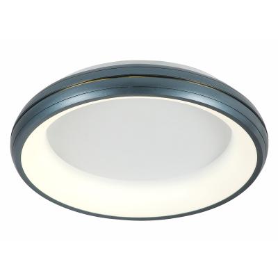 China Surface Mounted 2022 Modern Simple European Style Light New LED Ceiling Lamp Indoor Lighting for sale