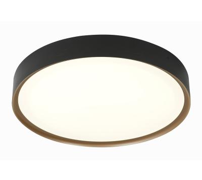 China Surface Mounted New Style LED Ceiling Lamp Modern Simple Smart Home Decorative Light for sale