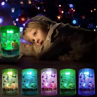 China To light up mini greenhouse kit for kids with LED light on the lid - educational plant toys - DIY your own Mini Garden in a pot that Gl DIY8291 for sale