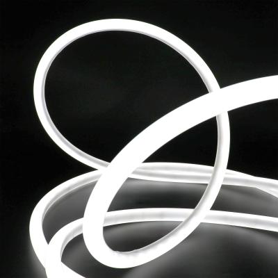 China Christmas Silicone Neon Led Strip D20mm Silicone Neon Flex For Bedroom Gameroom for sale