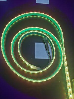 China IP65 Waterproof RGBW Flexible LED Strip 24 Voltage DMX 512 Controller Use For Outdoor Lighting Decorative for sale