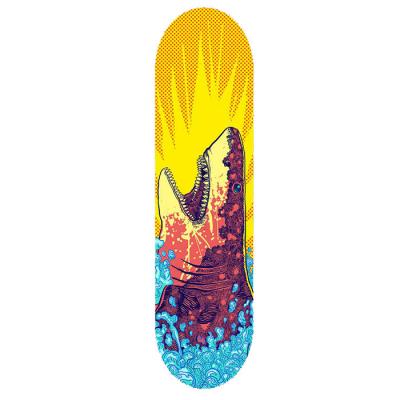 China Various Layer Adult Dragon Skateboard For Beginners Four Wheel Skateboard 7 Maple Good Quality for sale