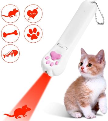 China Sustainable USB Rechargeable Cat LED Indicator Toys With 5 Patterns And Red Laser Indicator Light for sale