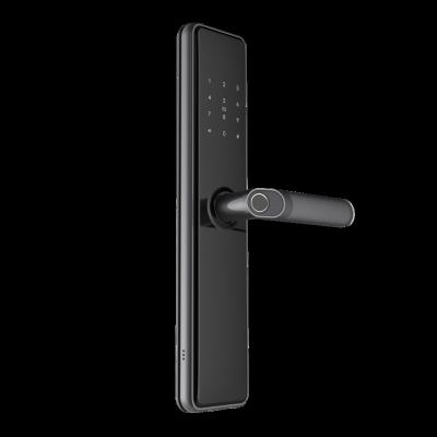 China Hot-selling Cheap Handle Smart Lock Good Performance IC Card Fingerprint Password Key For T4 Door for sale