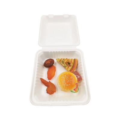 China Biodegradable Biodegradable Sugarcane Packaging Disposable Hamburger Box Top Blocks 8inch Bagasse Dishes And Cups for sale