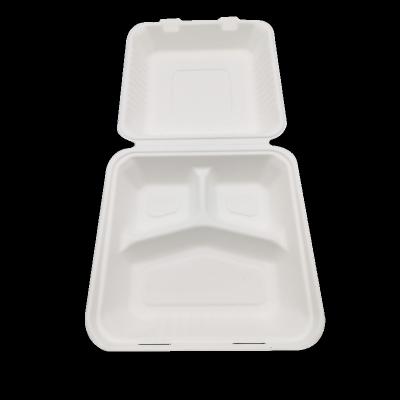 China China 100% Bagasse Fiber Food Container Top Blocks 9inch 3 Behavior Disposable Disposable Paper Boxes for sale