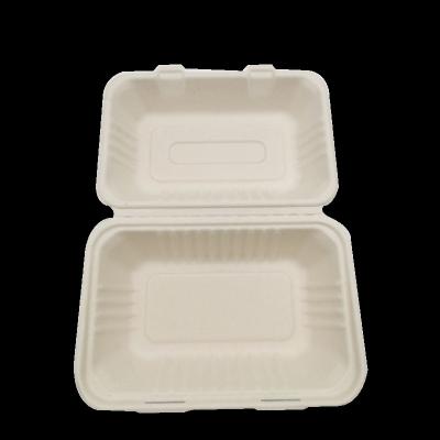 China Disposable Biodegradable Tableware 9 Inch Disposable Sugar Cane Pulp Top Blocks for sale