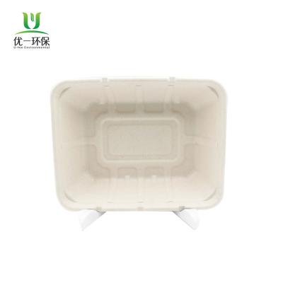 China Morden 2021 New Luxury Compostable Sugar Cane Bagasse 1200ml Disposable Container for sale