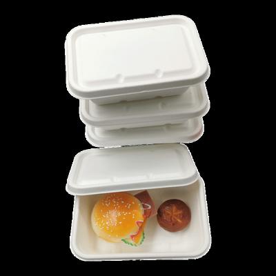 China Morden Luxury Compostable Water Proof 750ml Rectangular Sugar Cane Bagasse Pulp Packaging Food Container for sale