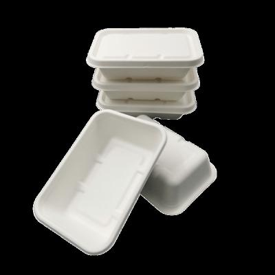 China Morden Eco-Friendly Compostable Lunch Contianer Deluxe Sugar Cane Food 550ml Take Out Boxes for sale