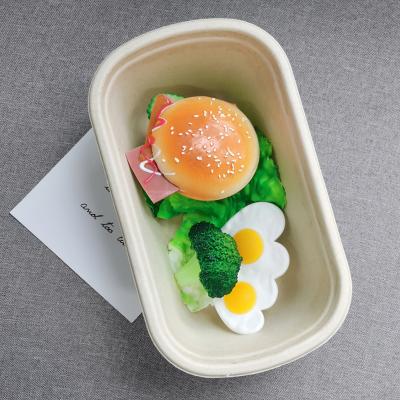 China Minimalist Compostable Tableware Sugarcane Bagasse Bagasse Tray Natural Plate Dish Food Container Biodegradable Disposable White for sale