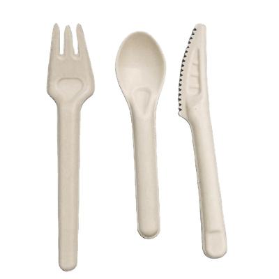 China Bio Sample Mini Bagasse Soup Spoon Knife Disposable Biodegradable Cutlery Set for sale