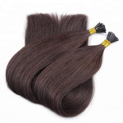 China Curly Curl Hot Selling Cuticle Textured Tip Hair Extension I Lined Indian I Tip Hair Extensions Wholesale for sale