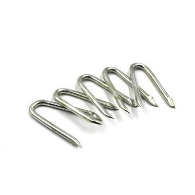 China Flat Galvanized Single Barbed Fence Staples U Nails U Shape Wire Nails for sale