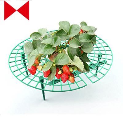 China Keep Strawberries Off Rot Keep Strawberries Off Rot In The Rainy Days 5pcs Handy Strawberry Supports For Your Garden, for sale