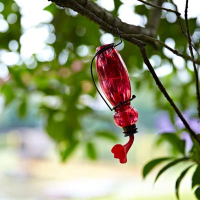 China Wholesale Outdoor Water Feeder Water Feeder Automatically Hanging Garden Plastic Hummingbird Bird Feeder for sale