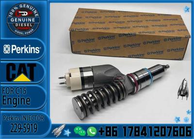 China Hochwertiger Dieselbrennstoffspritzer 2295919 Common Rail Injector 229-5919 für den Motor C15 zu verkaufen