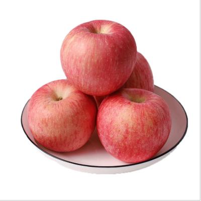 China Wholesale Fresh Box Style Storage Packaging Fruits Apples Apples In Fresh Fruits Apple Fruit for sale