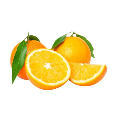 China Wholesale Fresh Ornamental Oranges Sweet Tangerine Oranges for sale