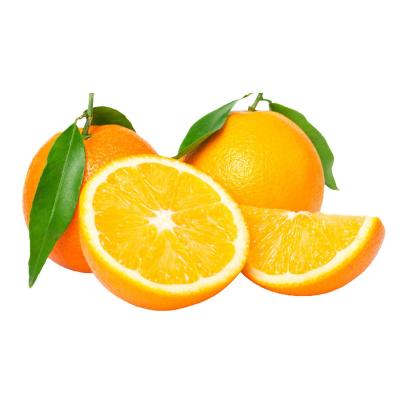 China Fresh Oranges Navel Orange Good Fresh Prices For Fresh Squeezed Orange for sale