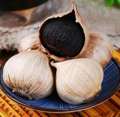 China Fresh Organic Fermented Black Garlic Factory Direct Selling for sale