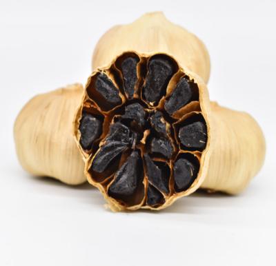 China Fresh organic Chinese black garlic for which black garlic is used for sale