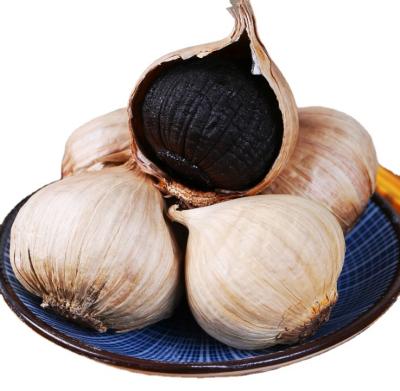 China Fresh Organic Fermented Black Garlic Factory Direct Selling for sale