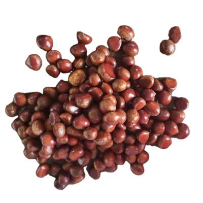 China Natural Sweet Taste Roasted Chestnut Chestnut Fresh Chestnuts For Sale for sale