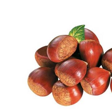 China Taste Natural Sweet Chestnuts Organic Gourmet Roasted Chestnuts Chinese Chestnut for sale