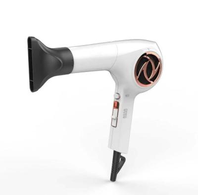 China Ionic Smart Blow Dryer Brushless Quiet Smart Blow Dryer Hair Dryer BLDC Light Motor Removable Hair Dryer Salon Air Filter for sale