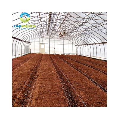 China Greenhouse Seedling Growing Commercial Plant Single Span Tomato Lettuce Plant Polycarbonate Sheet Greenhouse With Hydroponic Growing System For Sale for sale