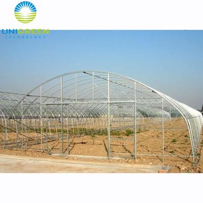 China Hot dipped galvanized PE high poly steel frame tunnel singel-tunnel plant nursery greenhouse for sale