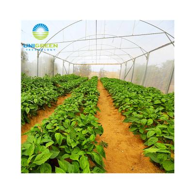 China Greenhouse Seedling Growing Single-span PEP Film Agriculture Arch Tunnel Small Size Greenhouse Good Quality for Vegetable and Flower for sale