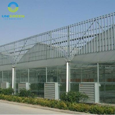 China Low Cost PE Multi Span Used Commercial Greenhouses for sale