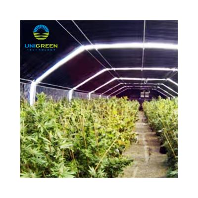 China Greenhouse Seedling Factory Price Multi-span Polycarbonate Sheet Growing Custom Venlo Type 100% Automatic Blackout Greenhouse For Medicine Planting for sale