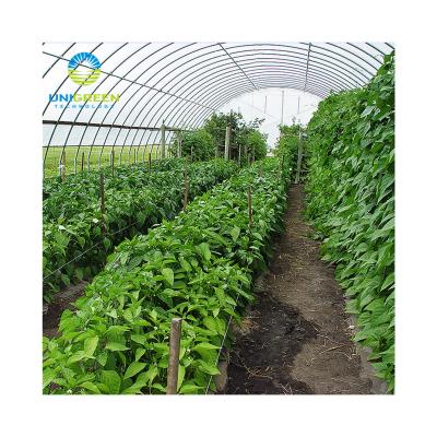 China Greenhouse Seedling Growing 10 Years Lifespan Agricultural Used Greenhouse Aluminum Base Multi-span With 200 Micron Plastic Sheet Greenhouse for sale