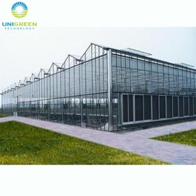 China Other Low Cost Commercia Plastic Polycarbonate Used Agricultural Professional Glass Greenhouse For Rose Flower for sale