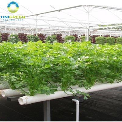 China Other hot sale 2022 single-span glass greenhouse for sale