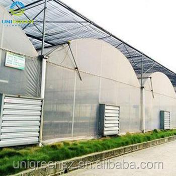 China Agricultural Hot Galvanized Green PE Multispan Frame Plastic Sheet House for sale