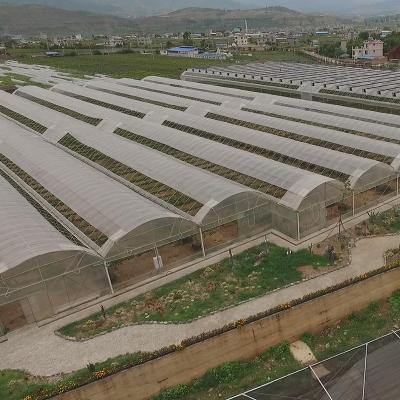 China PE Multi Span Irrigation System And Intelligent Control System Film Greenhouse for sale