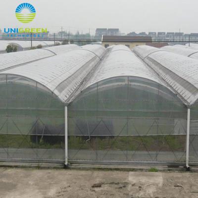 China PE Agricultural Multi Span Strawberry Film Greenhouse for sale