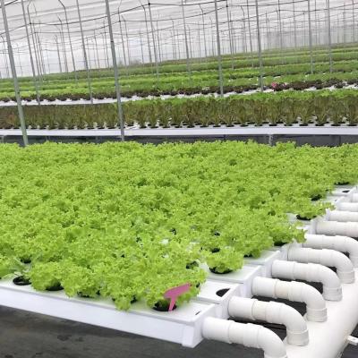 China Food Grade PVCU NFT Vegetable Hydroponic Channel System Flower Fruit Growing System For Sale for sale