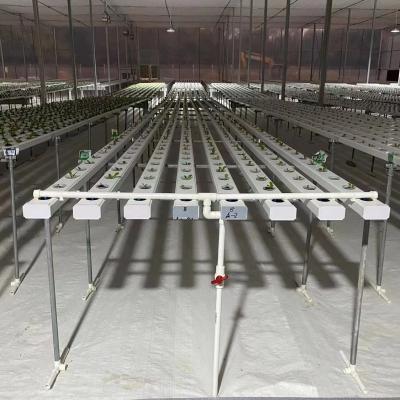 China Fruits Vegetable Flowers 2021 System NFT Channel Hydroponic Growing Equipment PVCU Food Grades for sale