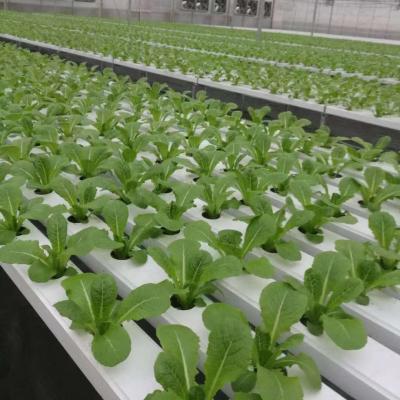 China NFT Grow Hydroponic Hot Sale Plant Hydroponic System Pipes PVC Pipes For Planting for sale