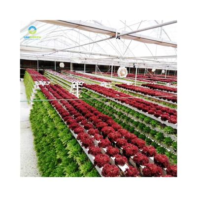 China Good Quality Hydroponic Vertical Growing Plant Holder Growing Leafy Vegetables Planting A Type NFT Vertical Hydroponic System For Greenhouse Lettuce for sale