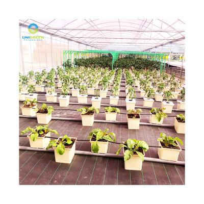 China With 2021 hot sale agriculture commercial hydroponic tomato irrigation system dutch bucket system for planting strawberry tomatoes for sale