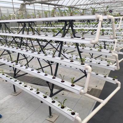 China Agriculture Planting Complete Household Lettuce Vertical Hydroponic System NFT System for sale