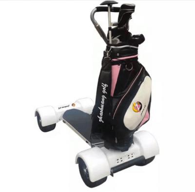 China Aluminum Alloy Best Selling 4 Wheels 10.5inch Folding Electric Golf Skateboard, 60V 20.8AH 1000W Ecorider Brushless Motor Electric Golf Cart for sale